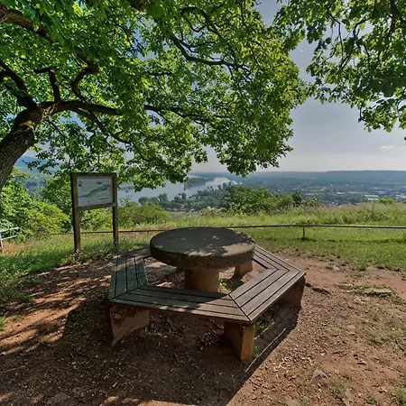 Gaestehaus Schmitt 3* Appenheim