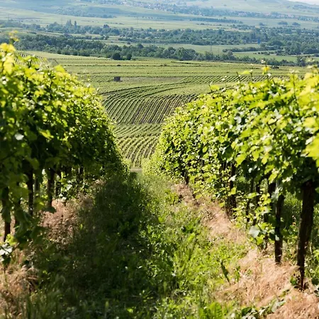 Konukevi Gaestehaus Schmitt