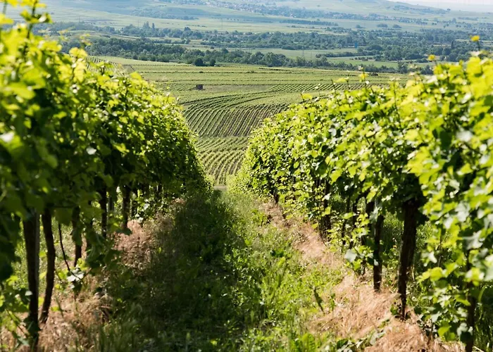 Гостевой дом Gaestehaus Schmitt